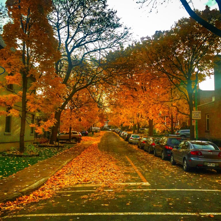 l'automne à Montréal