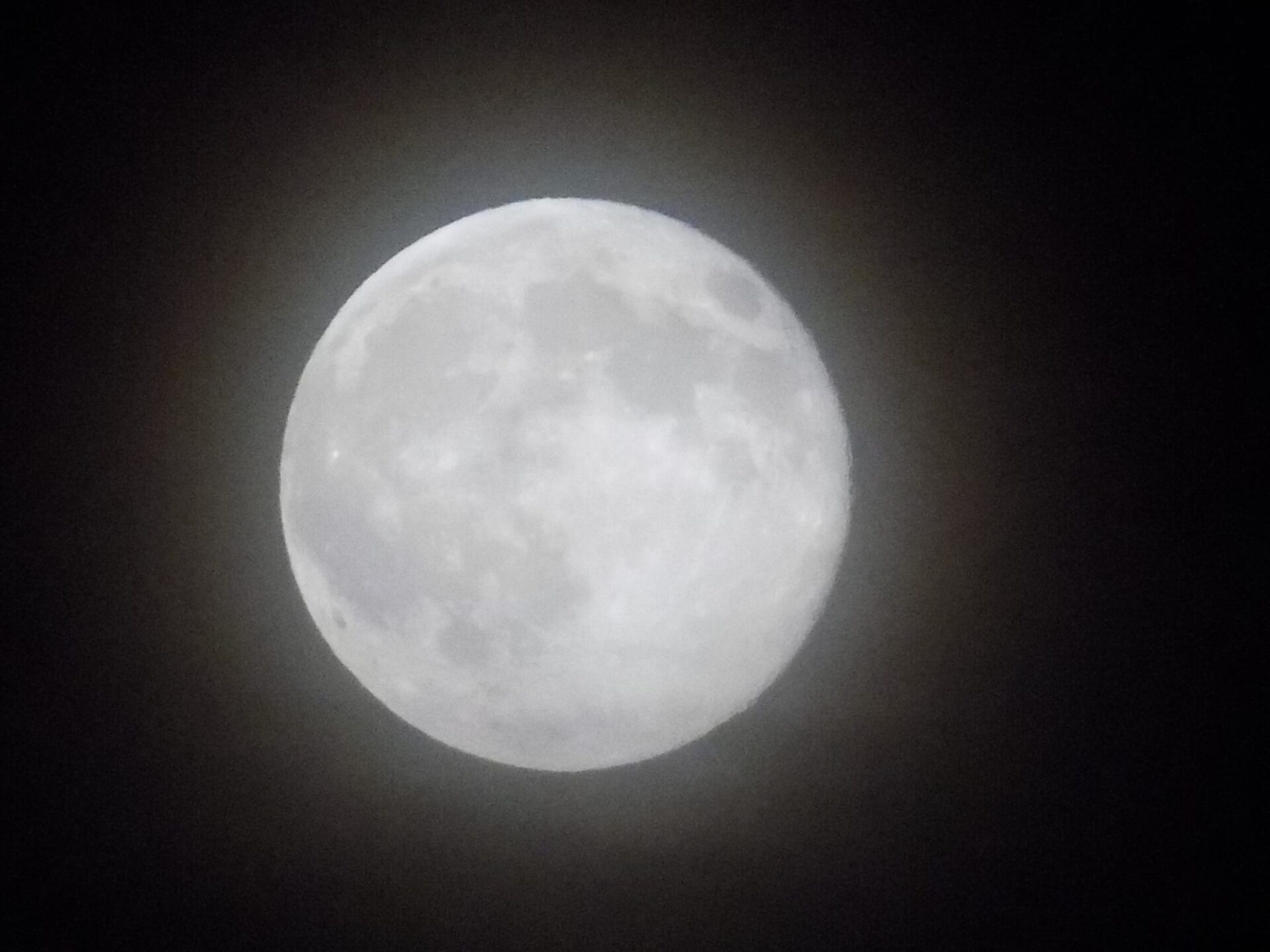 10547805_10204367022045791_4333637703631384431_o