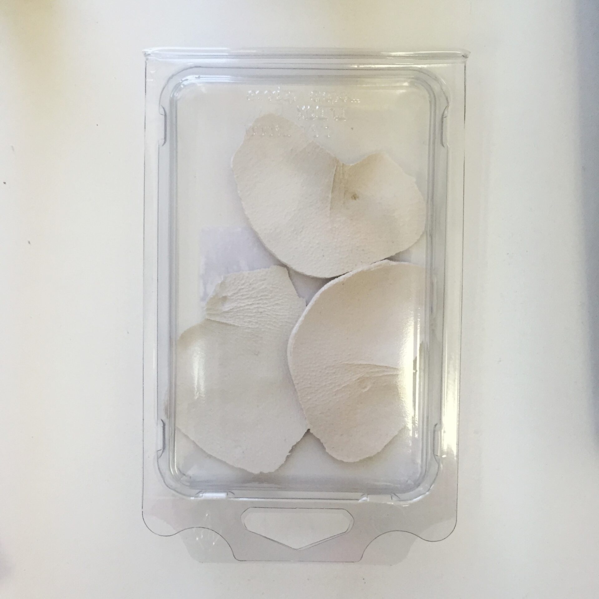 FullSizeRender copie 3