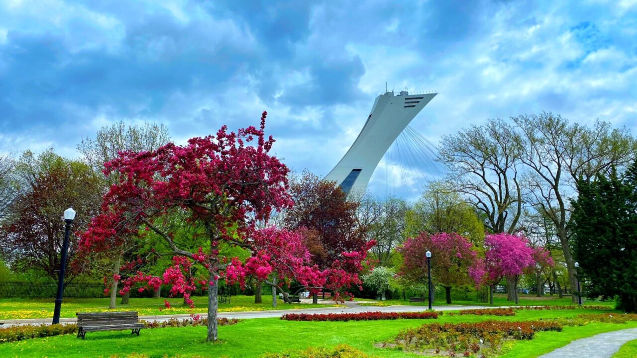 jardin botanique de Montréal
