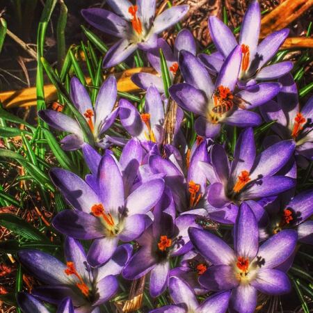 11093026_440835129409384_1503123319_n