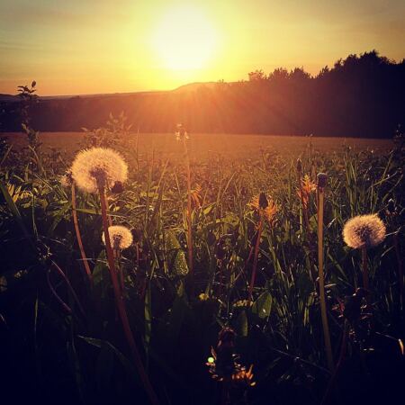 11375942_707096529420893_1918680960_n1