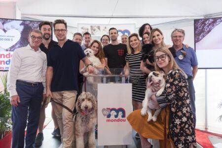 artistes et animaux